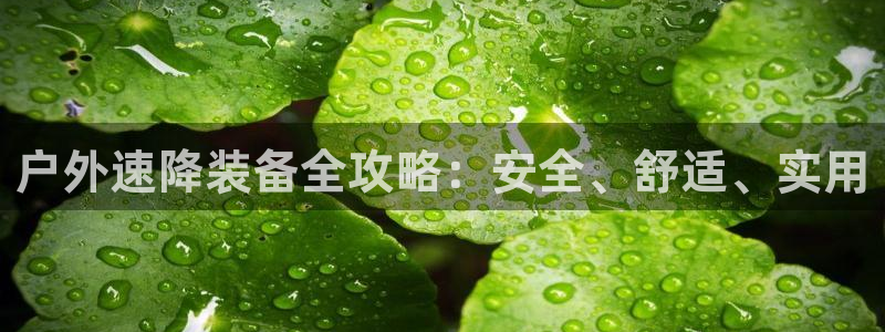新宝gg手机助手
