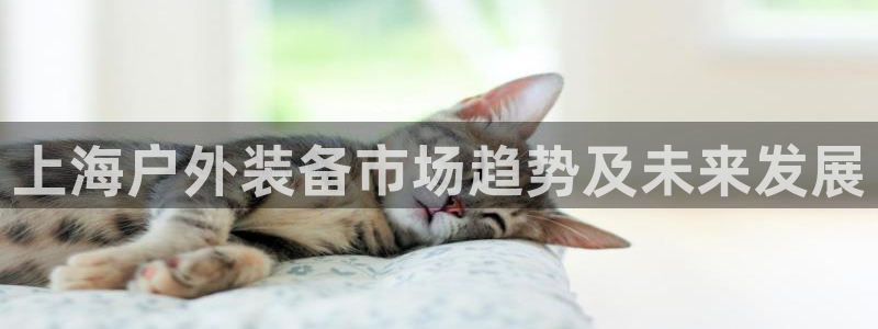 gg新宝时时彩