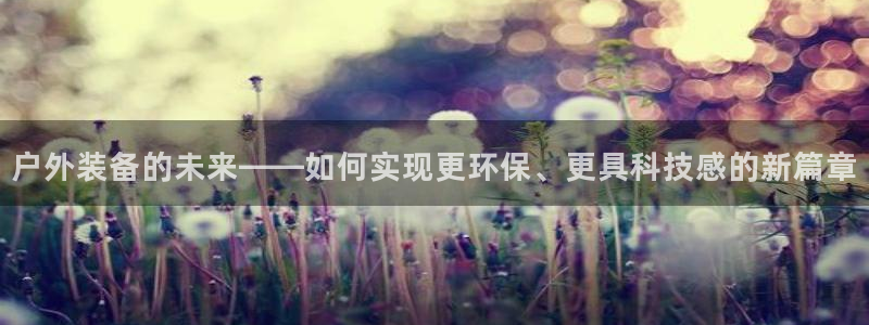 新宝gg工资