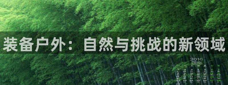 新宝gg用哪个浏览器