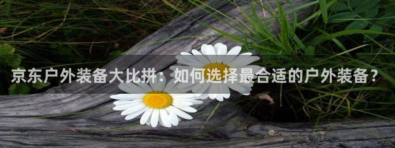 新宝gg 内部 8