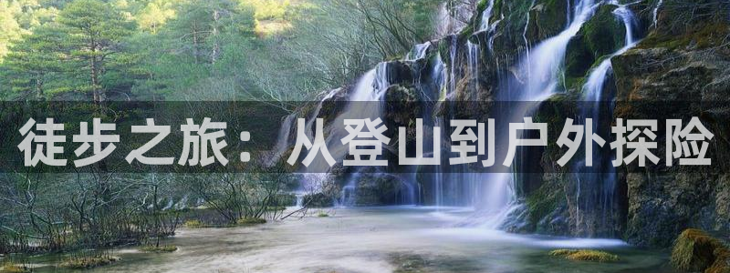 新宝gg成立