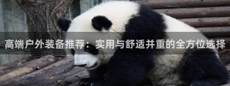 新宝gg娱乐盟主