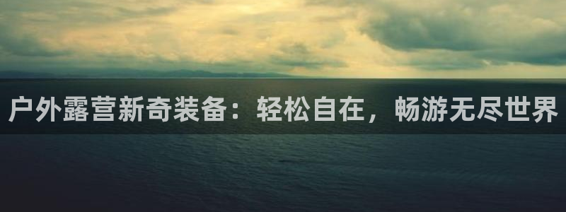 新宝GG专业团队