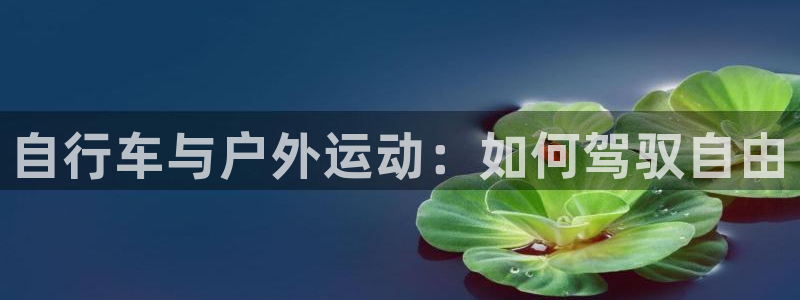 新宝gg 金苹果