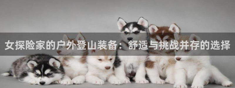 新宝gg专线