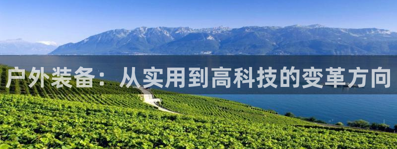 新宝gg平台下载安装
