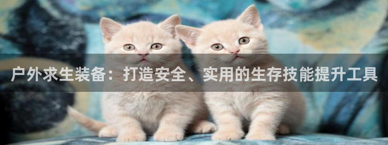 新宝gg合作