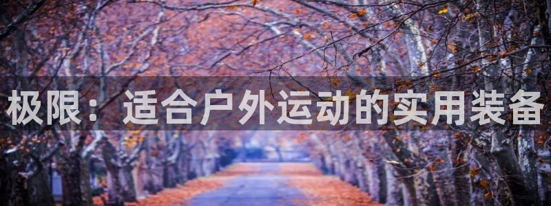 新宝gg直属