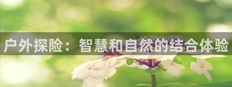 旧版新宝GG