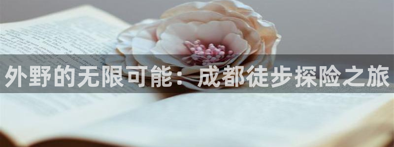 新宝奇迹GG