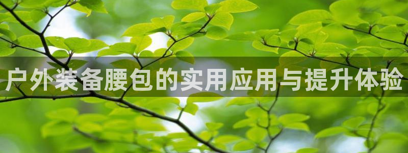 新宝gg佣金