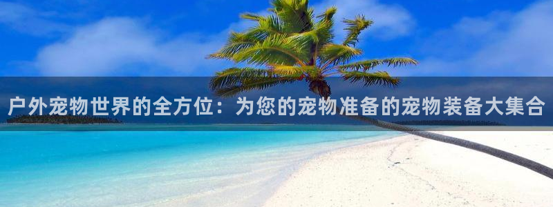 新宝gg 登陆