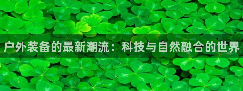 新宝gg直属上级