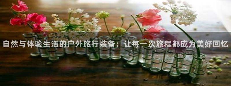 新宝太阳 gg