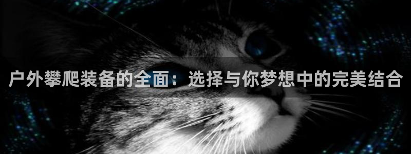 新宝gg龙虎规则
