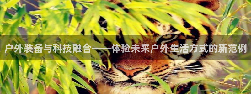 新宝gg欢迎