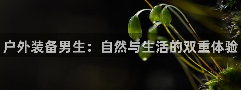 新宝gg是在境外吗