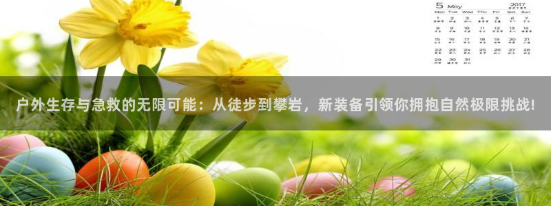 谁有新宝GG