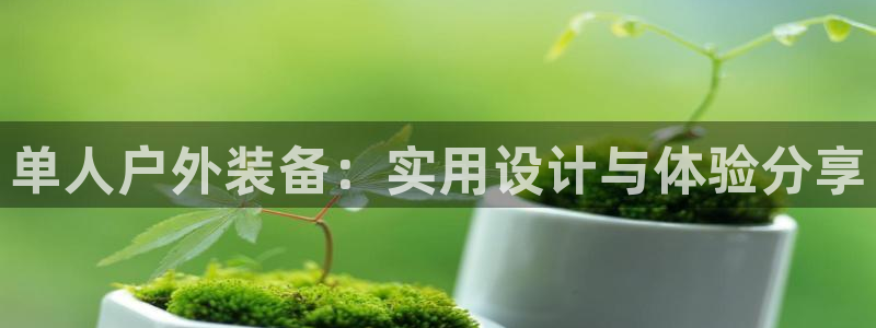 新宝gg网赚