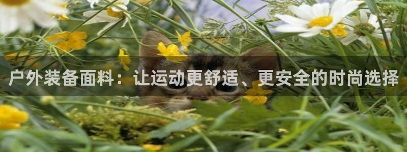 重庆新宝gg