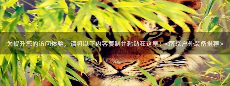 新宝gg评论