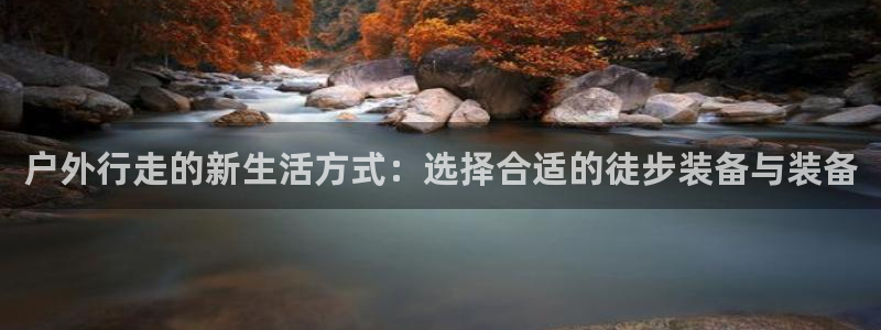 新宝gg信息