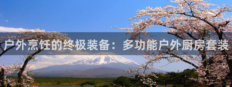 新宝gg游戏