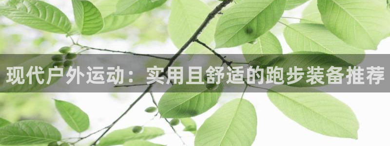 新宝gg可靠
