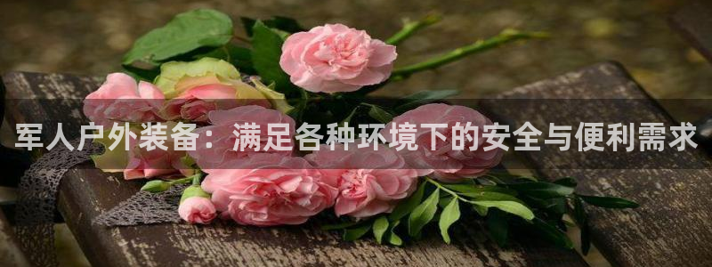 新宝gg娱乐-上鼎狐网