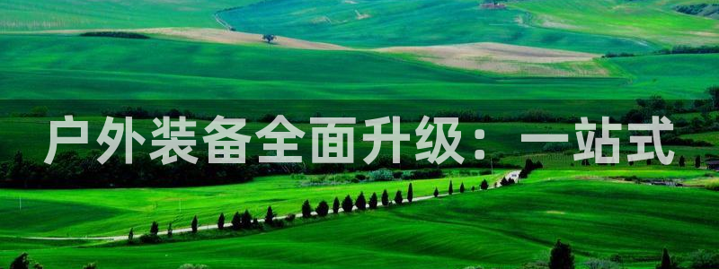 新宝gg怎么做代理