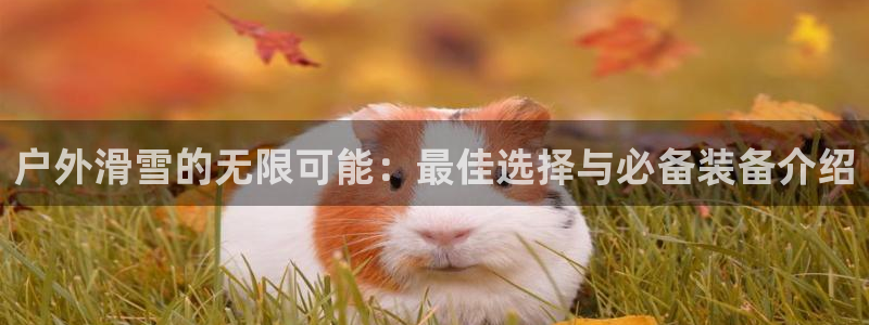 gg新宝时时彩