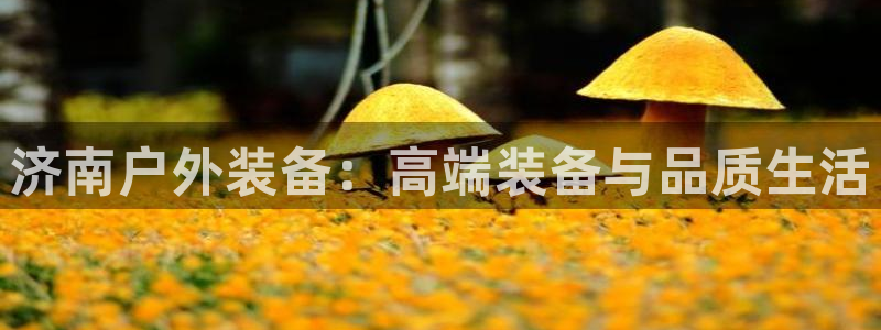 新宝gg创造奇迹平台