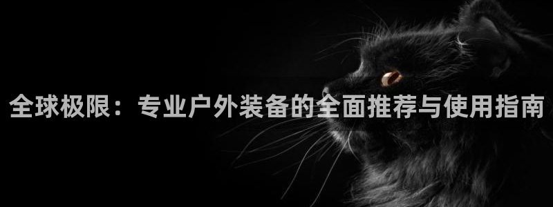 新宝GG53339咨询新宝GG