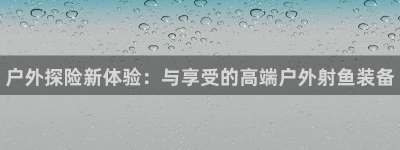 新宝gg平台连接