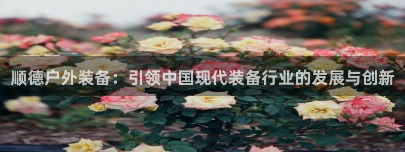 新宝 gg