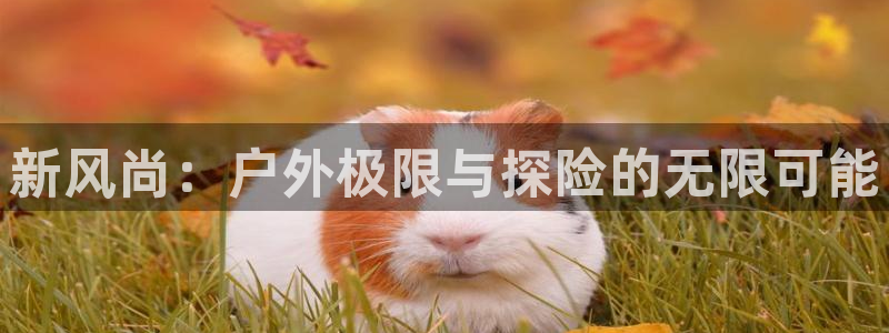 新宝gg娱乐怎么样