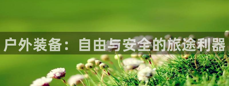 新宝gg怎样代理