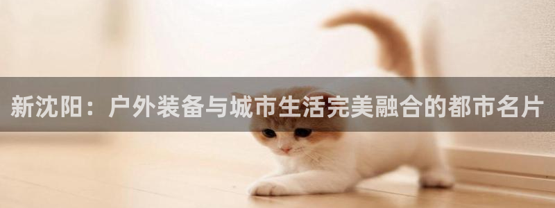 新宝gg总管