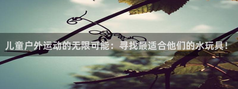 新宝gg娱乐官网