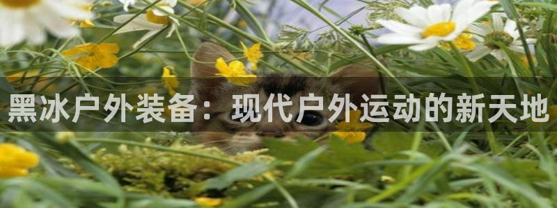 新宝gg平台开发