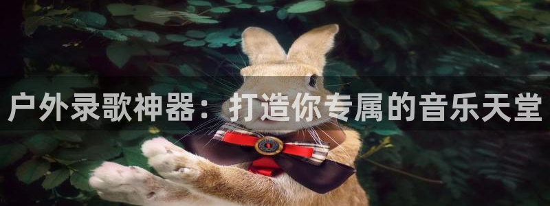 新宝gg挂机软件下载