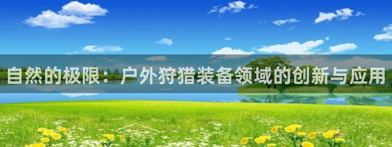 新宝gg体彩