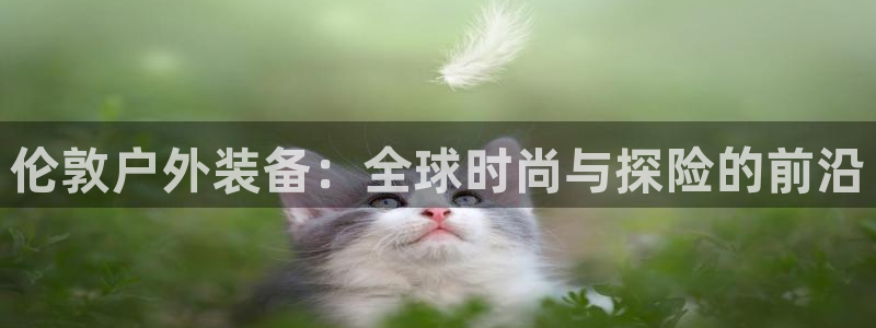新宝哥gg