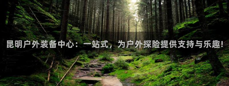 新宝gg手机版下载