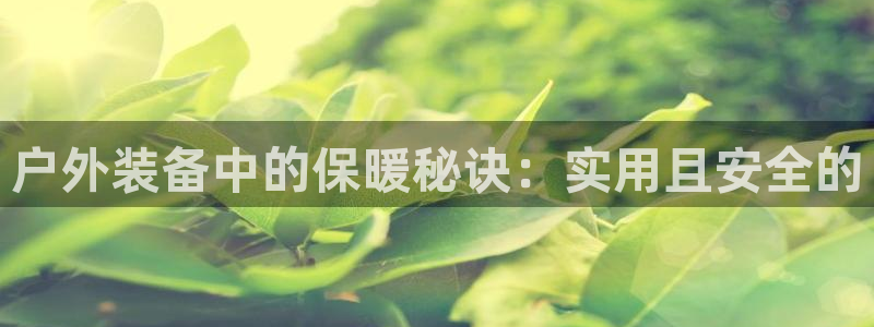 新宝GG手机客户端