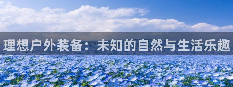 新宝gg平台开户