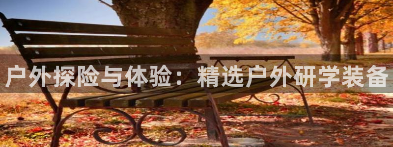 新宝GG最高返点多少